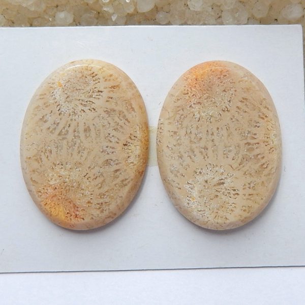 Natural Indonesian Coral Cabochons Paired 21x19x4mm, 7.5g Cheap