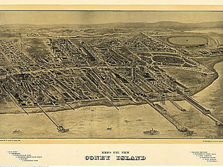 Bird s eye view Coney Island by John G. Mark, 1906 For Cheap