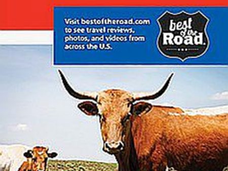 Texas by Rand McNally Cheap