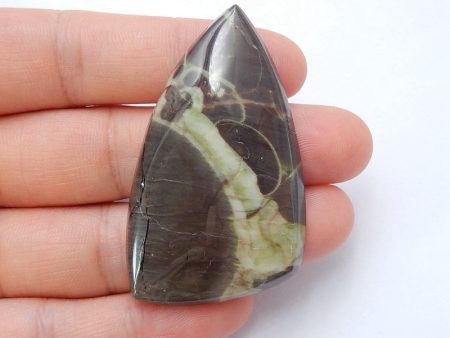 Natural Mushroom Jasper Cabochon 51x29x6mm, 12.2g Online now