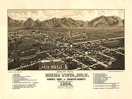 Bird s eye view of Buena Vista Colorado, 1882 For Cheap