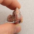 Natural Pink Opal Carved lizard Pendant Bead 60x25x10mm, 14.8g For Cheap