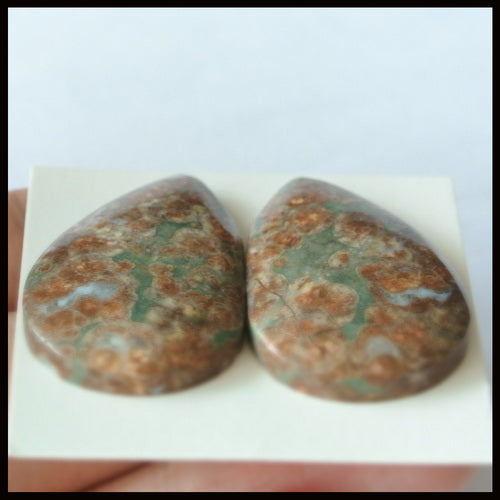 Natural Mushroom Jasper Cabochons Paired 29x19x5mm, 8.9g Online now