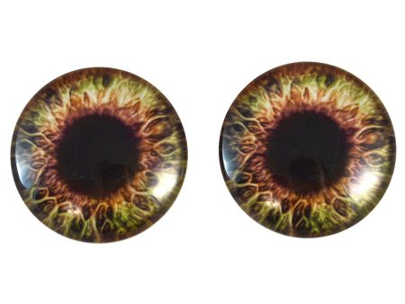 Brown and Cream Human Glass Eyes on Sale