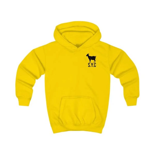 Kids Hoodie- FASHION GOAT Online now