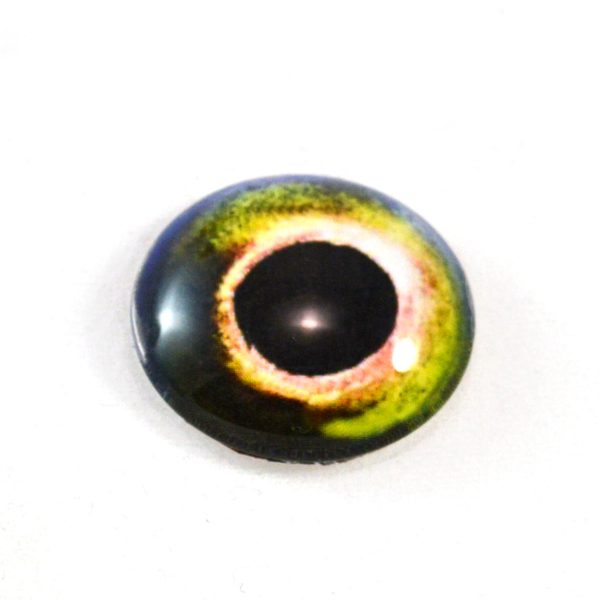 Yellow and Green Fish Glass Eyes Fashion