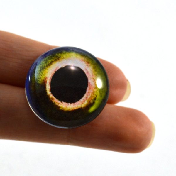 Yellow and Green Fish Glass Eyes Fashion