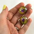 Yellow and Purple Lizard Reptile Glass Eyes Discount