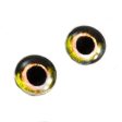 Yellow and Green Fish Glass Eyes Fashion