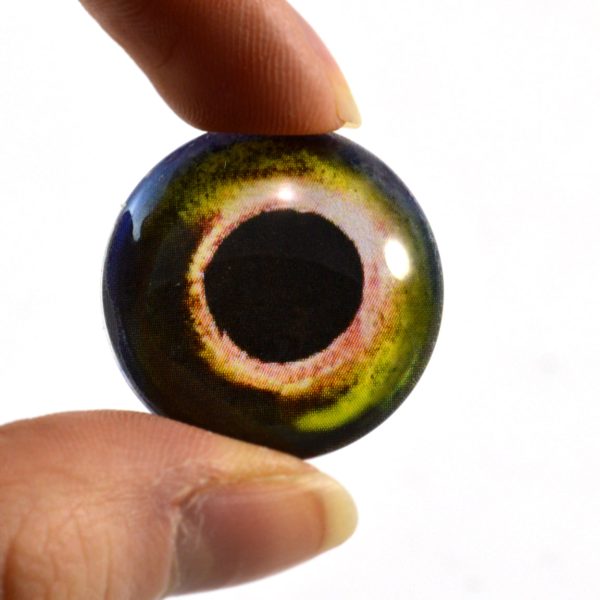 Yellow and Green Fish Glass Eyes Fashion